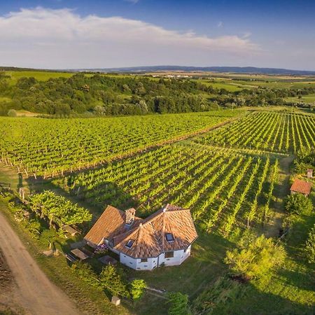 Robinson Vila Kitokret Kutjevo Zewnętrze zdjęcie