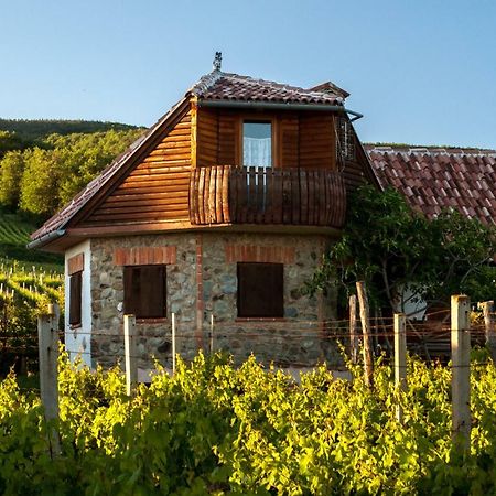 Robinson Vila Kitokret Kutjevo Zewnętrze zdjęcie