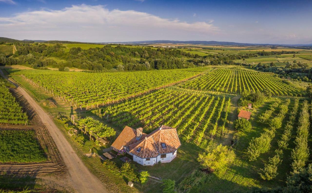 Robinson Vila Kitokret Kutjevo Zewnętrze zdjęcie