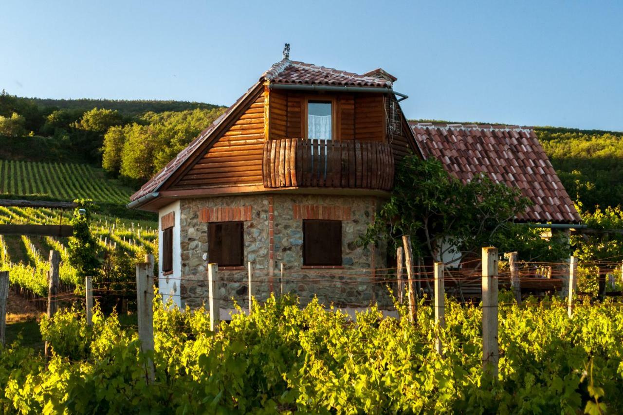 Robinson Vila Kitokret Kutjevo Zewnętrze zdjęcie