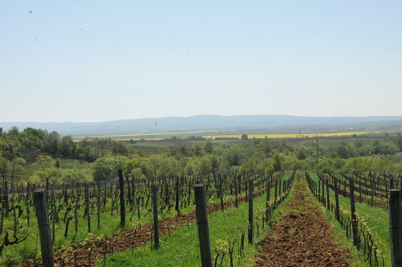 Robinson Vila Kitokret Kutjevo Zewnętrze zdjęcie
