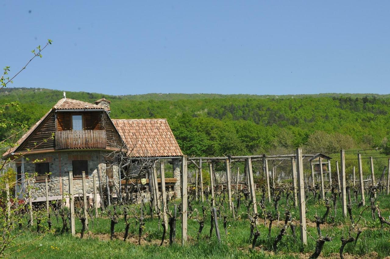 Robinson Vila Kitokret Kutjevo Zewnętrze zdjęcie